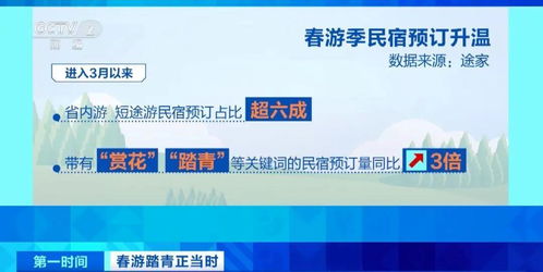 春暖花開時，三大潮流打卡新選擇 花海、民宿與山地戶外運動