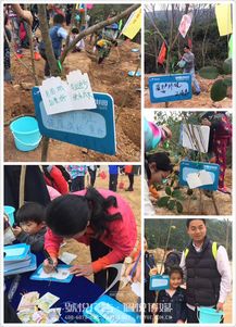 碧桂園植樹節 佩悅傳媒以專業公關策劃，賦能綠色品牌行動